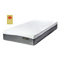 Harmony Lite Homecare Bed